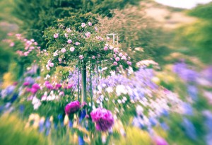 Giverny, France, Travel, Impressionism, Claude Monet, Lens Baby