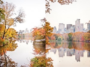 Fall, Central Park, Foliage, New York