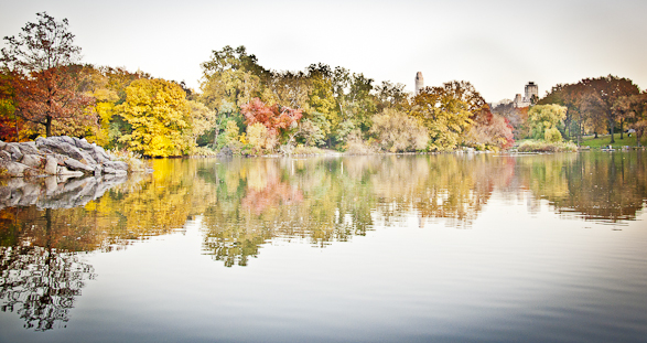 Fall, Central Park, Foliage, New York